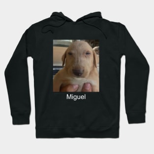 Miguel meme shitpost unisex Hoodie